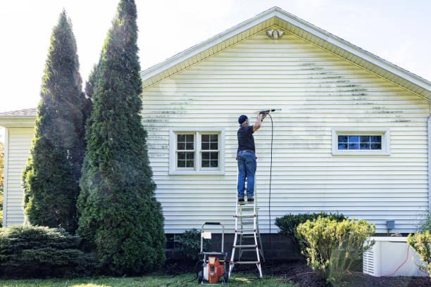 Best House Exterior Washing  in New Knoxville, OH